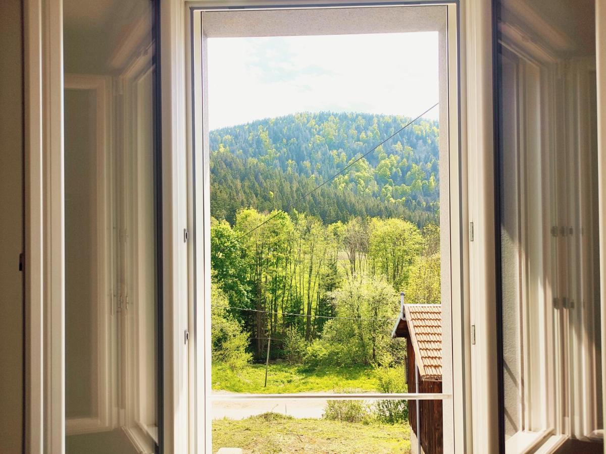 ⁂⁂ Le Chamois Appartement Cledicihome / Magnifique Vue Sur Les Montagnes / 4 Kms De Gerardmer ! ⁂⁂ Rochesson Luaran gambar